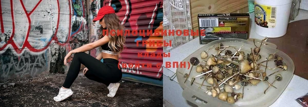 ECSTASY Медвежьегорск