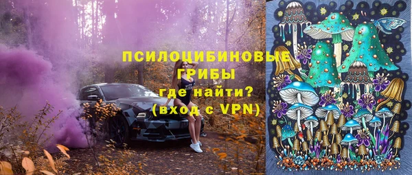ECSTASY Медвежьегорск