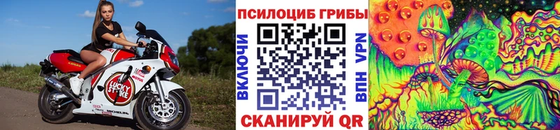 Псилоцибиновые грибы MAGIC MUSHROOMS  даркнет телеграм  Чулым 